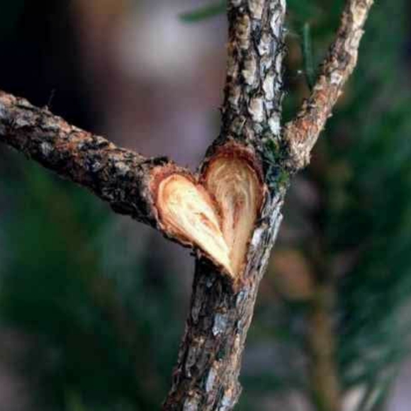 Meet your Posher, Kathy - Picture 4 of 5